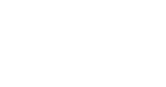 100% club logo
