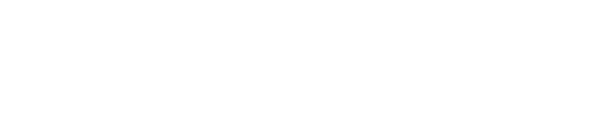 Ace Persaud Logo in white